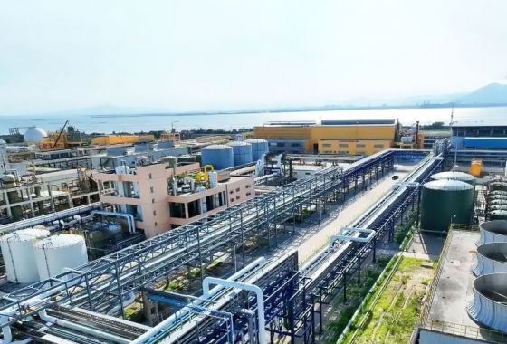 河南平煤神马电化有限公司项目